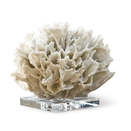 Regina Andrew Ribbon Coral -  Regina Andrew