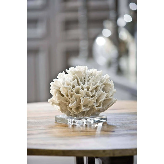 Regina Andrew Ribbon Coral -  Regina Andrew